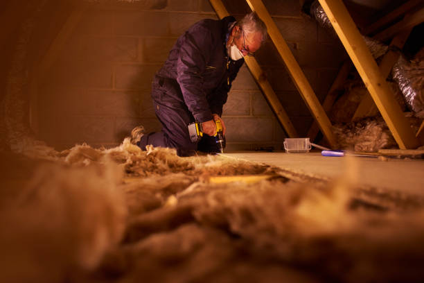 Eco-Friendly or Green Insulation Solutions in Prairie Ridge, WA